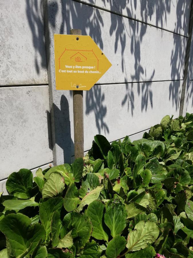 Chambres D'Hotes " Le Clos Des Colimacons " Maniquerville Eksteriør billede